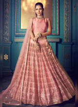 Load image into Gallery viewer, Decent Pink Soft Net Base Sequin Work Ethnic Lehenga Choli
