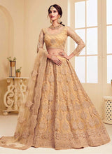 Load image into Gallery viewer, Beige Soft net and stone base partywear lehenga choli
