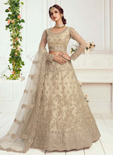 Load image into Gallery viewer, peach Gorgeous heritage soft net base with heavy work lehenga choli
