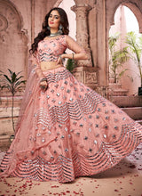Load image into Gallery viewer, Gorgeous Soft Net base Peach color Mirror work Lehenga Choli
