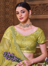 Load image into Gallery viewer, buy lime green colored sequins embroidery soft net base lehenga choli
