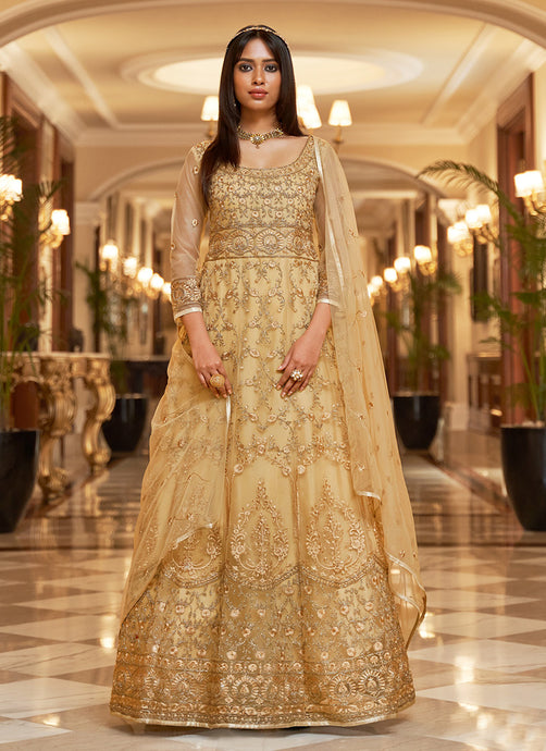 Beige Color Soft Net Material Dori And Stone Work Gown
