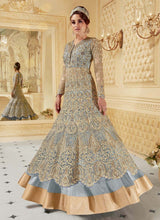 Load image into Gallery viewer, fantastic soft net base heavy zari and dori work designer gown
