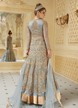 Load image into Gallery viewer, buy fantastic soft net base heavy zari and dori work designer gown
